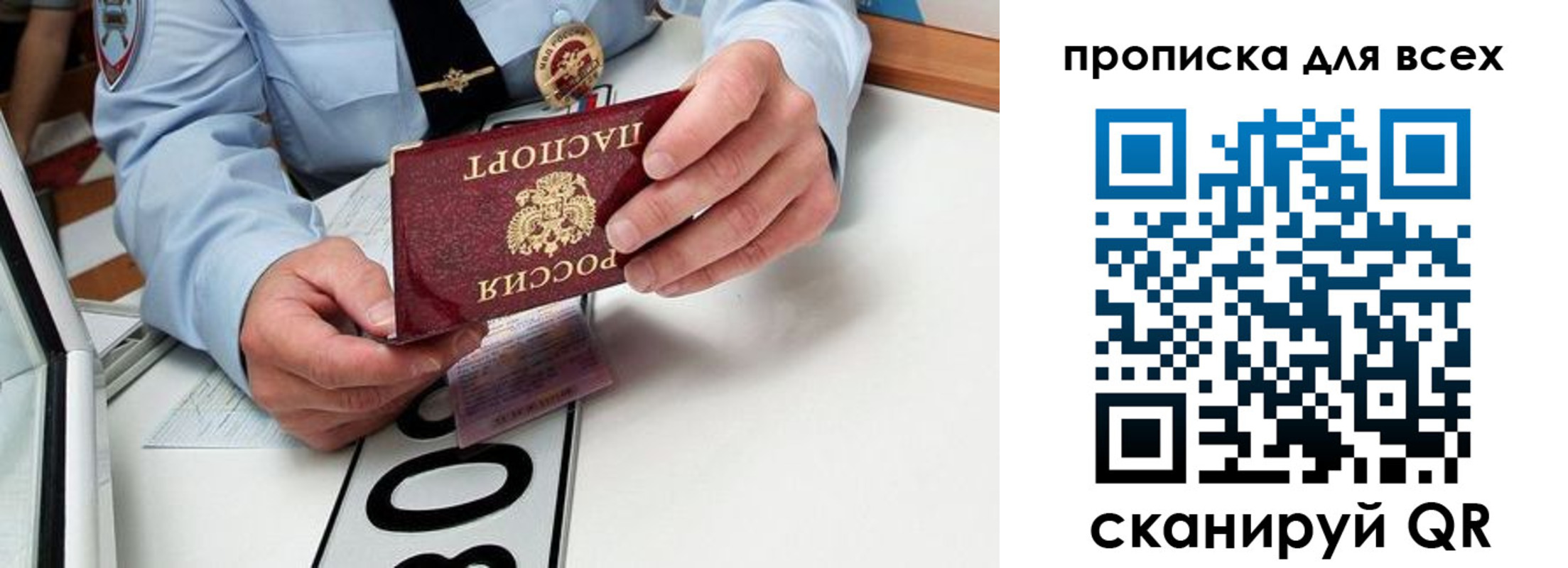 прописка для школы в Электрогорске